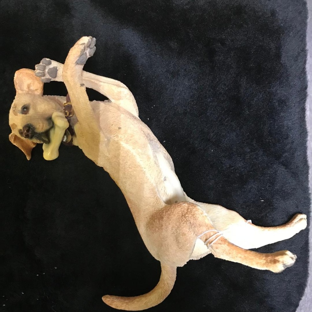 Happy Retriever